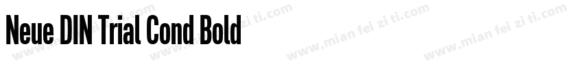Neue DIN Trial Cond Bold字体转换